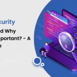 What is Security Testing and Why Critically Important? - A Useful Guide