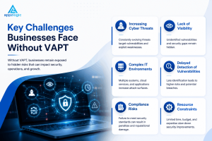Importance of VAPT Services for Business Security