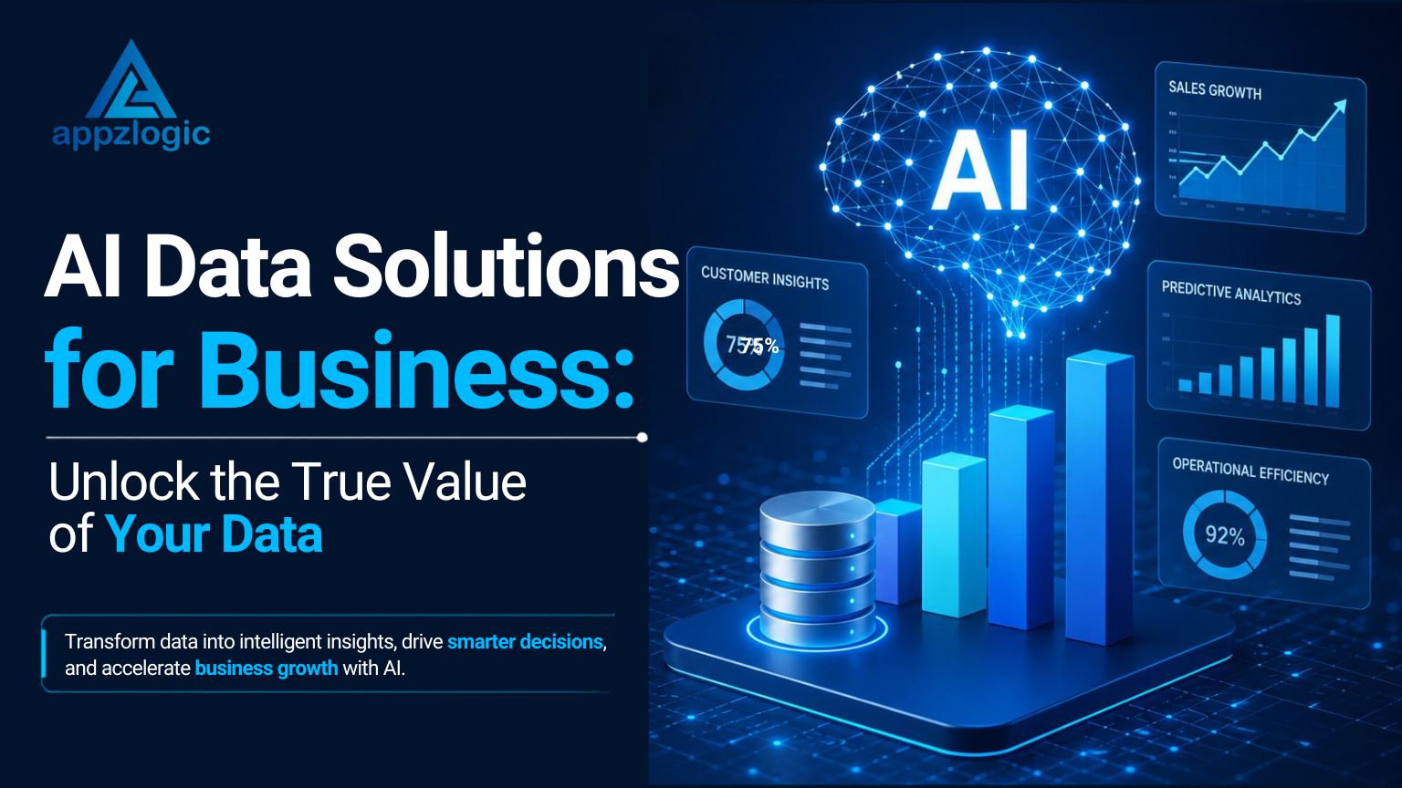 AI Data Solutions for Business: Unlock the True Value of Your Data